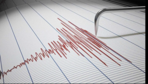 Screenshot-2026-03-05-at-14.12.22-1