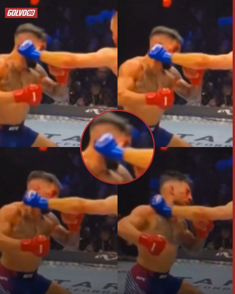 724340870_122117268596948104_4366909915578889001_n