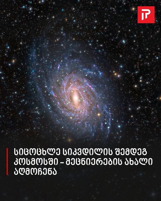 746130012_122096292723400935_586831712528857326_n