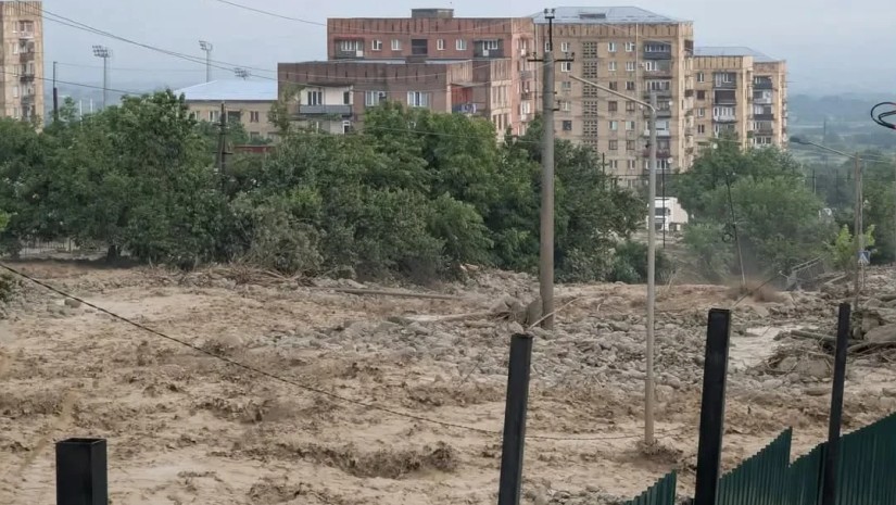 telavi_w_h-1